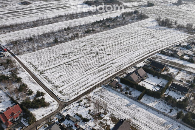 Działki w Grodzisku – cisza, zieleń, świetna lokal