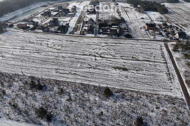 Działki w Grodzisku – cisza, zieleń, świetna lokal