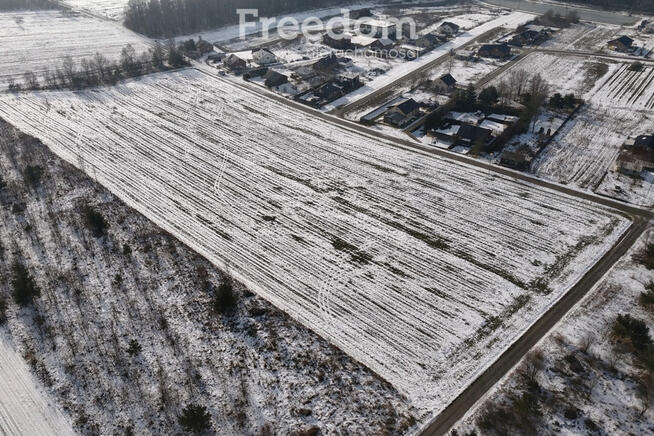 Działki w Grodzisku – cisza, zieleń, świetna lokal