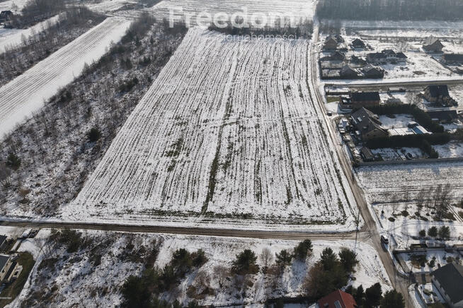 Działki w Grodzisku – cisza, zieleń, świetna lokal