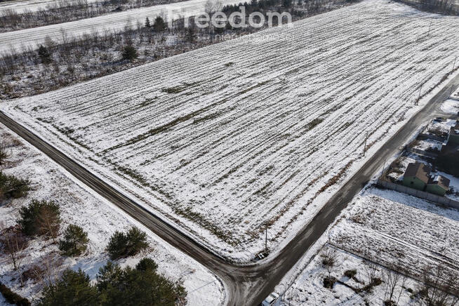 Działki w Grodzisku – cisza, zieleń, świetna lokal