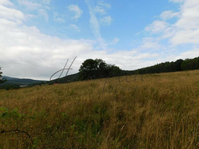 Działka inwestycyjna Stronie Śląskie,