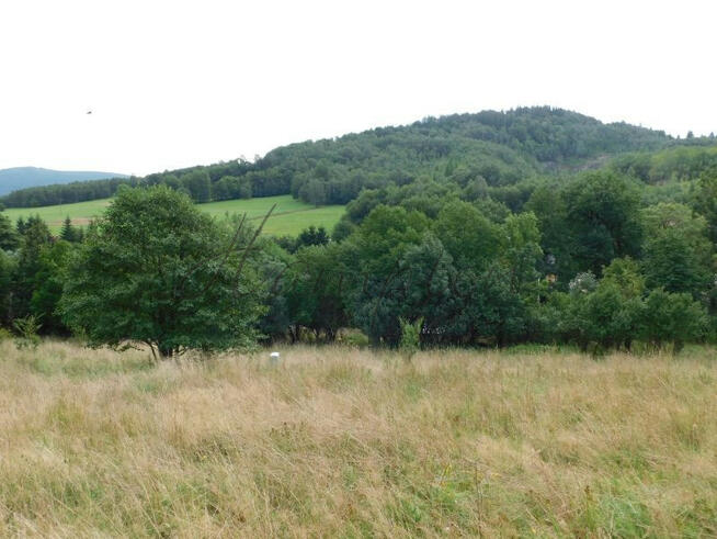 Działka inwestycyjna Stronie Śląskie,