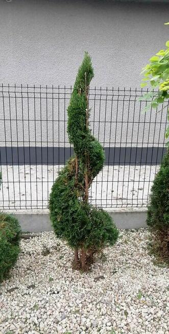 Kompleksowe Usługi Ogrodnicze