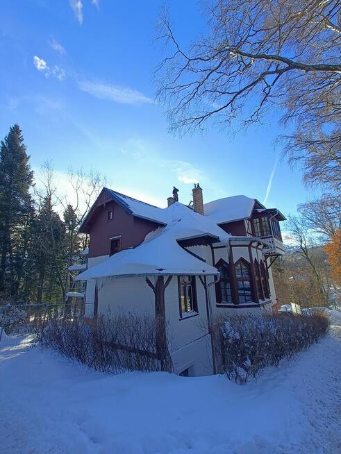 Okna - Sprzedaż, Montaż, serwis