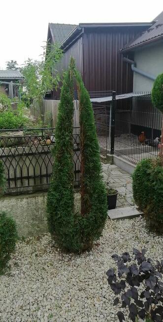 Kompleksowe Usługi Ogrodnicze