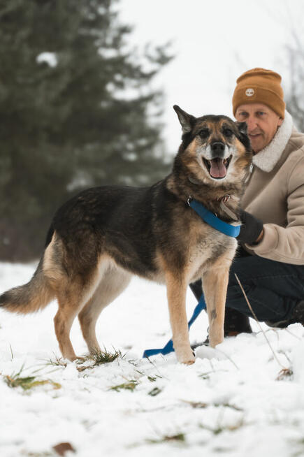 Sara jest z nami 7 lat. Ma za sobą powrót z nieudanej adopcj