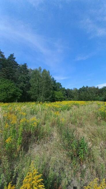 Unikat, budowlana, ostatnia taka, do metra20km, doCPK20km!