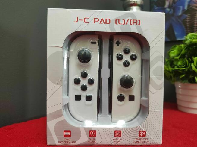 Kontroler Pad do Konsoli do Nintendo Switch Lite OLED