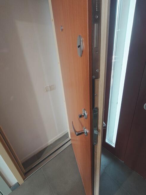 Drzwi Wejściowe Skandynawskie