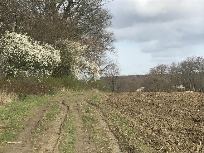 Wyjątkowa posiadłość rolna