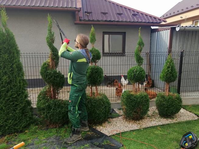 Kompleksowe Usługi Ogrodnicze