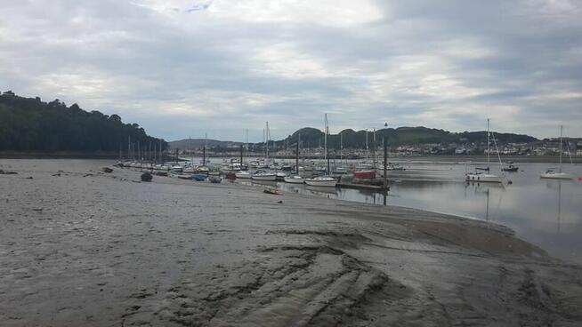 Szukam Pani która chciała by wyjechać/ przyjechać???