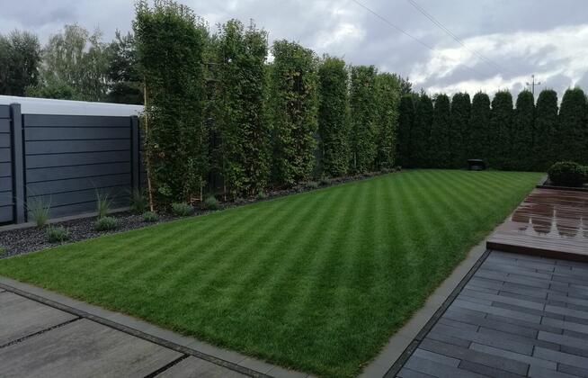 Usługi mini traktorkiem z glebogryzarka, Zakładanie ogrodów