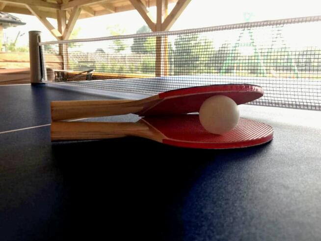 Domki Letniskowe Mojito