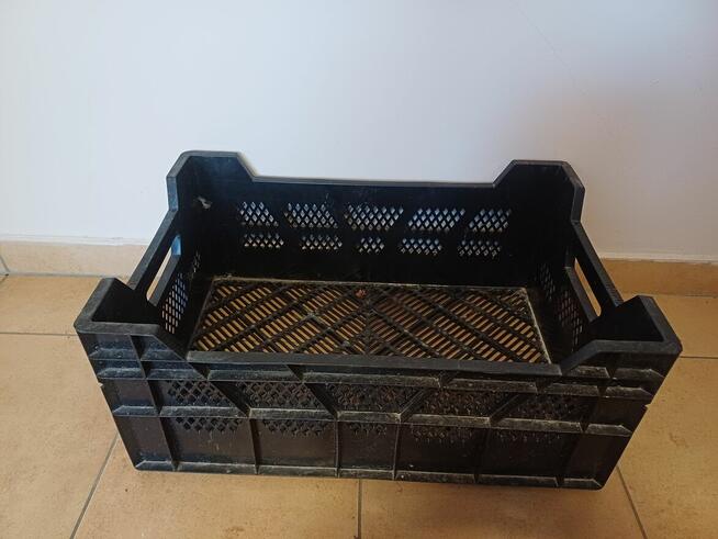 Sprzedam skrzynki szkółkarskie