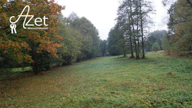Działka siedliskowa Zwierki gm. Zabłudów,