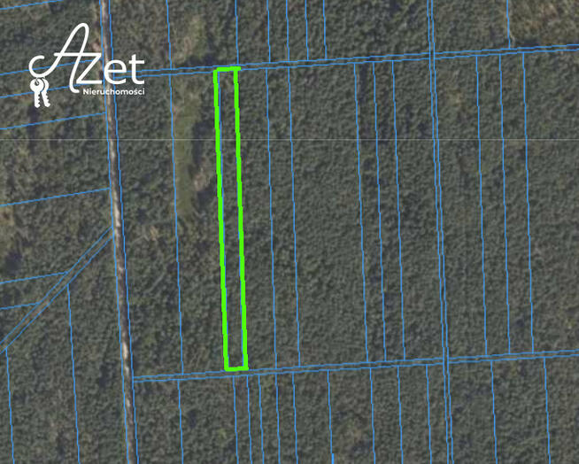 Działka leśna Soce gm. Narew,