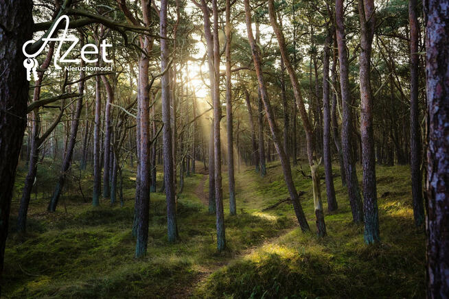 Działka leśna Soce gm. Narew,