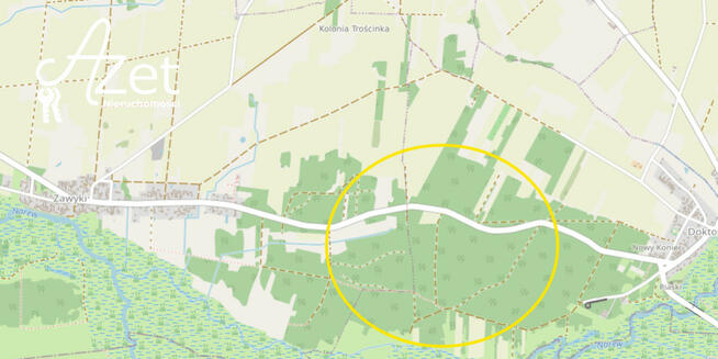 Działka leśna Zawyki gm. Suraż,