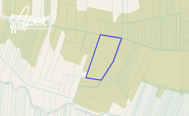 Działka leśna Zawyki gm. Suraż,