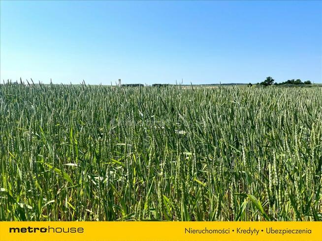 Działka z możliwością zabudowy mieszkalnej!