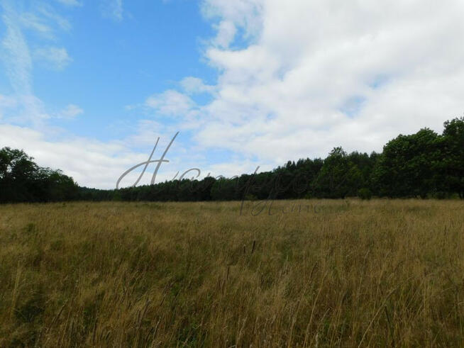 Działka inwestycyjna Stronie Śląskie,