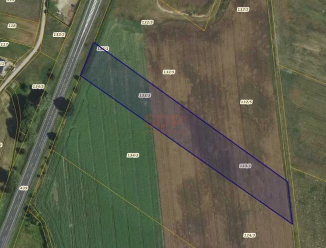 Działka inwestycyjna Myszęcin gm. Szczaniec