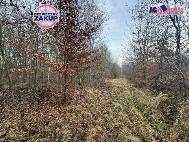 Działka inwestycyjna Gdańsk Kokoszki, Grzybowa