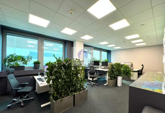 Lokal użytkowy Warszawa Śródmieście, E. Plater