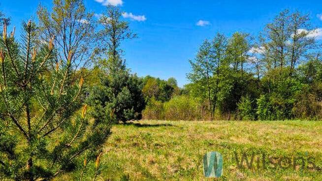 Działka siedliskowa Zambski Kościelne gm. Obryte,