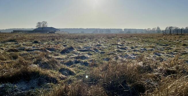 Działka budowlana Dobra gm. Dobra (Szczecińska), Salamandry