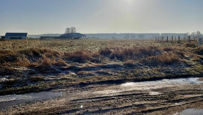 Działka budowlana Dobra gm. Dobra (Szczecińska), Salamandry