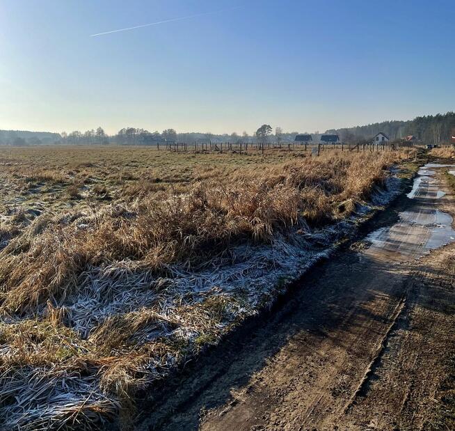 Działka budowlana Dobra gm. Dobra (Szczecińska), Salamandry