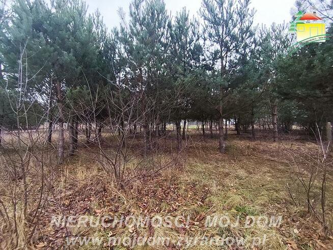 Działka budowlana Zboiska gm. Radziejowice