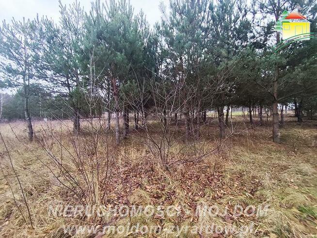 Działka budowlana Zboiska gm. Radziejowice