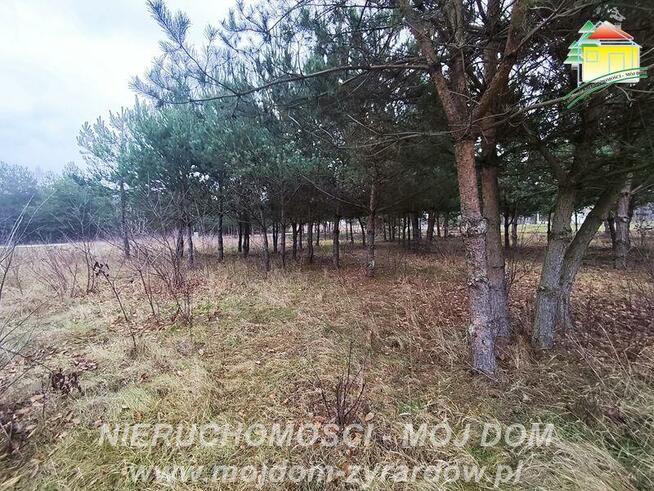 Działka budowlana Zboiska gm. Radziejowice