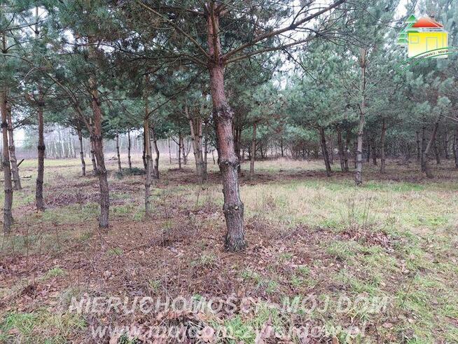 Działka budowlana Zboiska gm. Radziejowice