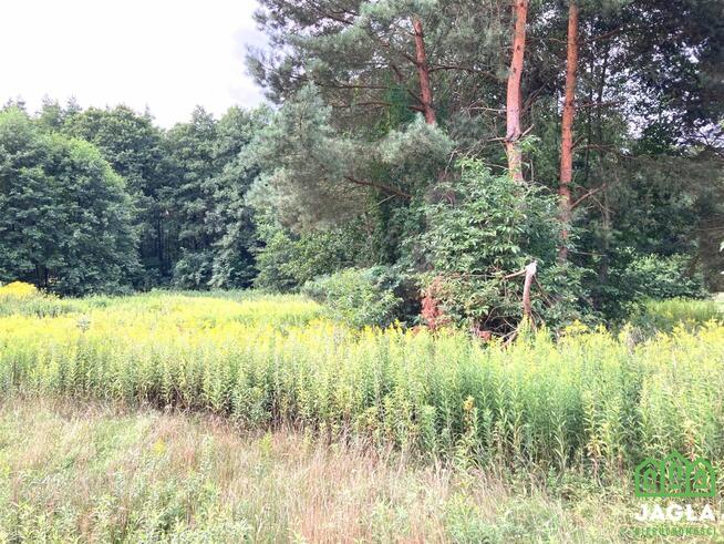 Działka budowlana Silno gm. Obrowo