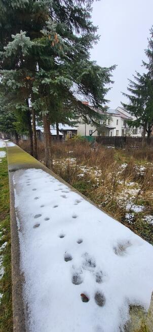 DZIAŁKA BUDOWLANA W CENTRUM SZCZUCZYNA