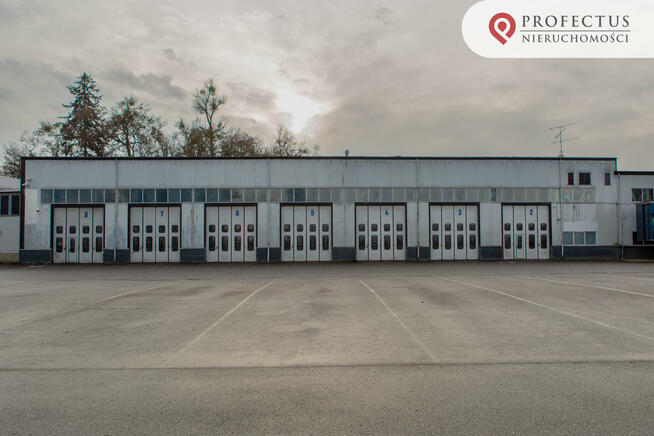 Lokal użytkowy Straszyn gm. Pruszcz Gdański