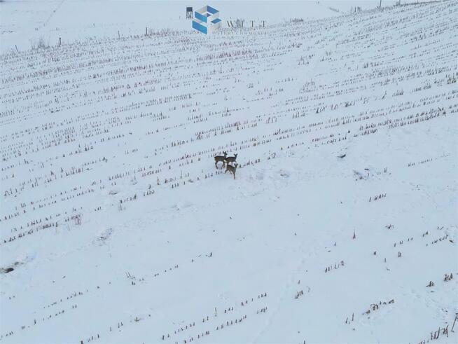 Działka rolna Nowa Wieś gm. Iława