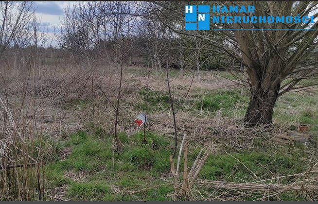 Kształtna działka w Święcicach