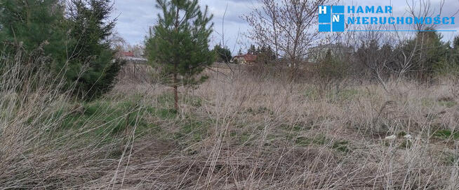 Kształtna działka w Święcicach