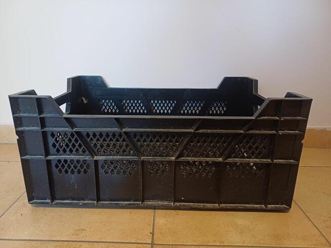 Sprzedam skrzynki szkółkarskie