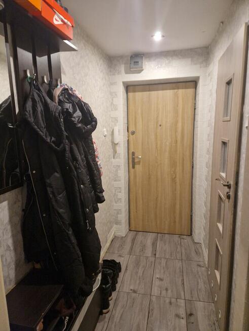 Zamienię na większe MZZL