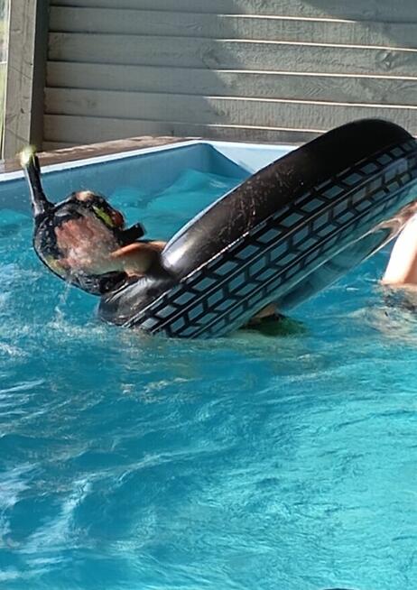 Domki Letniskowe Mojito