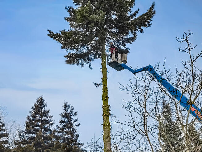 Usługi Ogrodnicze, Niwelacja, Nawadnianie, Trawnik Warszawa
