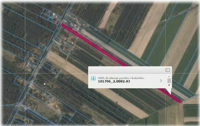 Syndyk sprzeda udział w domu z dużą działką