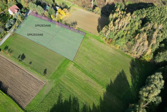 Piękna działka budowlana w dębnie